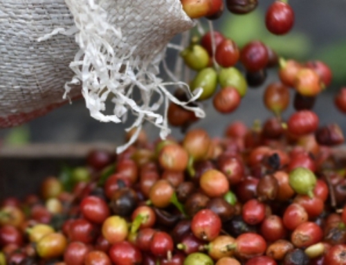 Eximware Donates $10,000 to Coffee Quality Institute Origin Fund